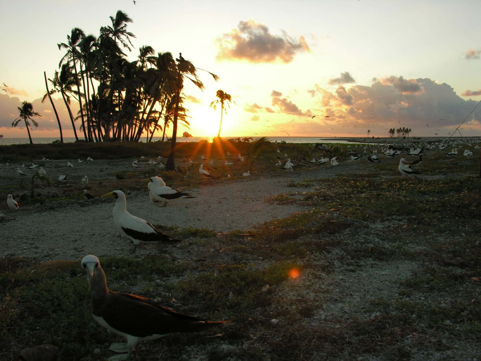 clipperton island tour