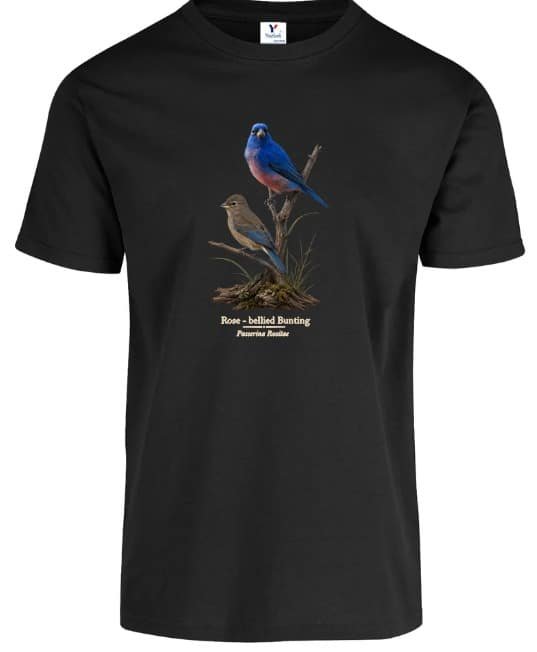 Playeras Rose-bellied Bunting - Image 5